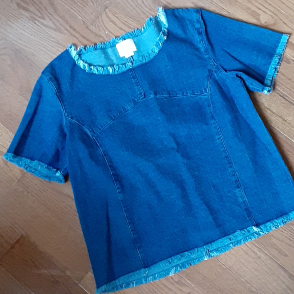 Anthropology Maeve Denin Fringed Top